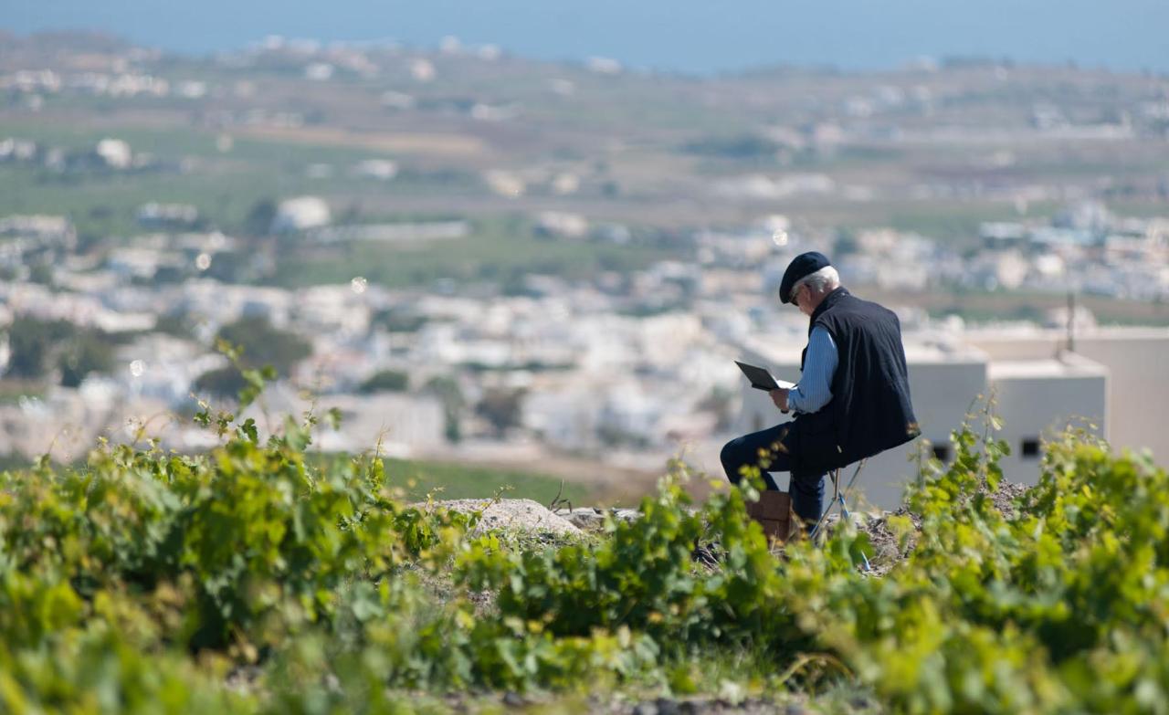 Wine Tours
